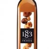 Tea 1883 Roasted Hazelnut Syrup - 250 Ml (Glass Bottle)