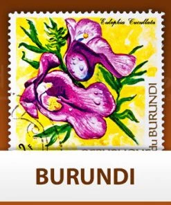 Escarpment Coffee Roasters Green Coffee Burundi - Green - 1lb