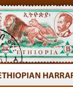 Escarpment Coffee Roasters Ethiopian Harrar - Green - 1lb