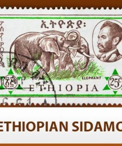 Escarpment Coffee Roasters Ethiopian Sidamo - Green - 1lb Green Coffee