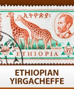 Escarpment Coffee Roasters Green Coffee Ethiopian Yirgacheffe FTO - Green - 1lb