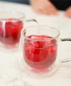 Tea Grosche Fresno Double Walled Cups With Handle - 270 Ml