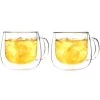 Tea Grosche Fresno Double Walled Cups With Handle - 270 Ml