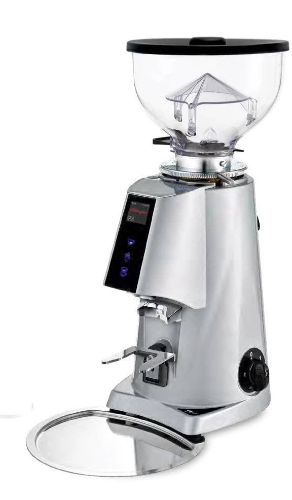 Tea Fiorenzato F4 E Nano V2 Espresso Grinder
